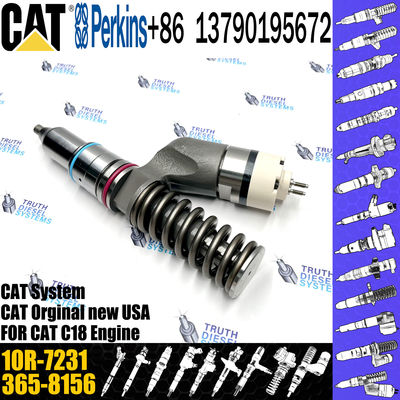 Common Rail Injector 276-8307 10R-9787 10R-7228 10R-2772 10R-7231 10R-7230 C-A-T Excavator C15 C18 Diesel Engine