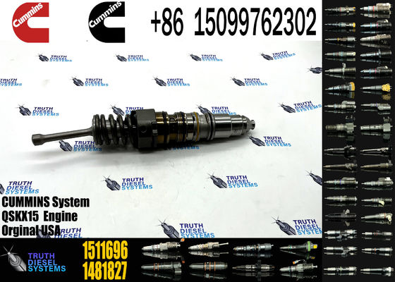 Common Rail Injector 1731091 1464994 1511696 1529790 4954644 1473430 1521978 1529790 For SCANIA