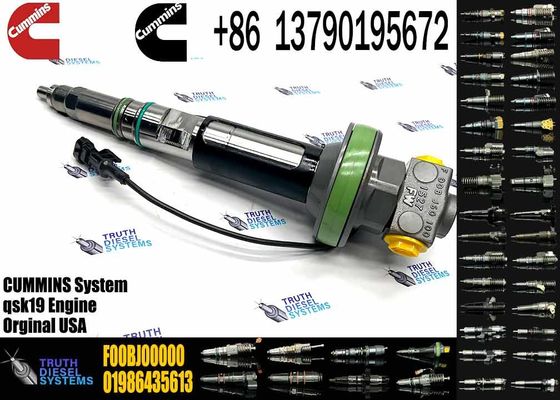 Auto Parts Common Rail Diesel Fuel Injector 1000019903 For Cummins  01986435613  QSK19 QSK38 QSK60