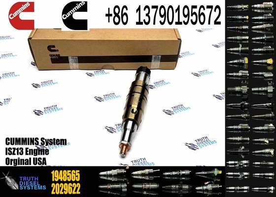 For Fuel Injector 2488244 2029622 1948565 2030519 2031836 2031835 2086663 2419679 2086663 2057401 1948565 2029622 1933613