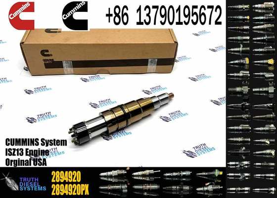 DSGENUINE 5579415 5579417 2894920 2872405 ISX15 CRI D10 ISX XPI diesel Engine Fuel Injector 5579415 5579417 2894920 2872405