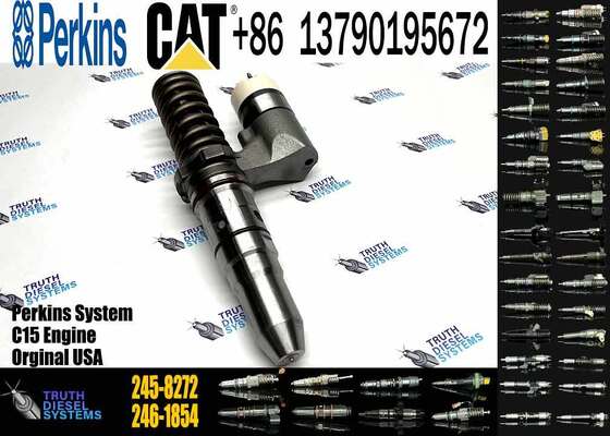 Master-Crafted Fuel Injector Parts OEM 245-8272 246-1854 250-1311 250-1302 250-1304 for Caterpillar Engine OE-Level Kits