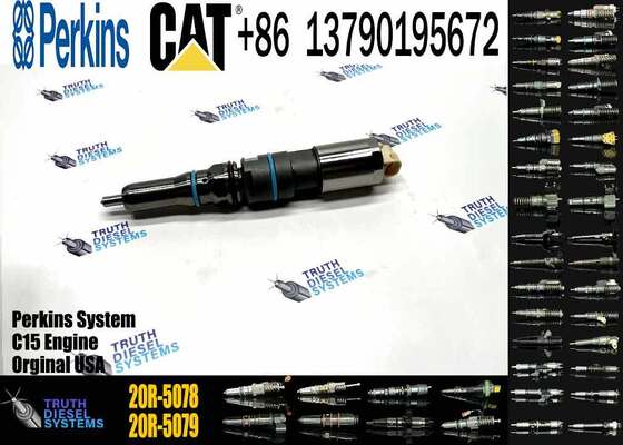 Engine Fuel Injector Gp-Fuel 456-3545 4563545 20R5078 20R-5078 for Caterpillar Excavator