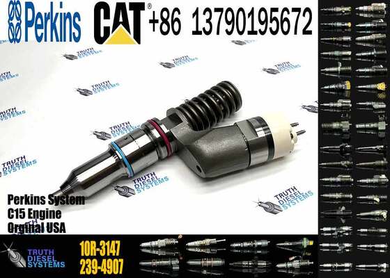 C13 Injector 10r-3147 249-0712 249-0713 2490712 for Fuel Injector