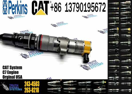 Factory Price 238-8091 241-3238 241-3239 243-4502 295-1408 387-9430 20R-8057 243-4503 20R-8058 Injector