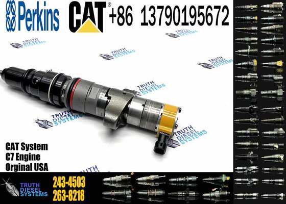Factory Price 238-8091 241-3238 241-3239 243-4502 295-1408 387-9430 20R-8057 243-4503 20R-8058 Injector