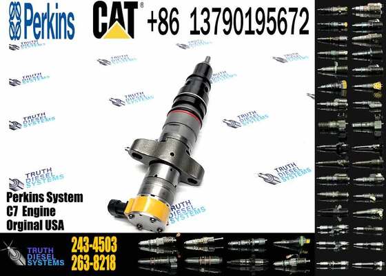 ERIKC 295 1409 Fuel Pump Injector 295-1409 243 4503 Common Rail Injector 2434503 Diesel Truck Injection 2951409 243-4503