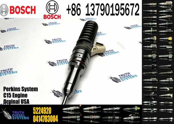Hot Sell Common Rail Fuel Injector 0414703003 0414703005 0414703007 5224920